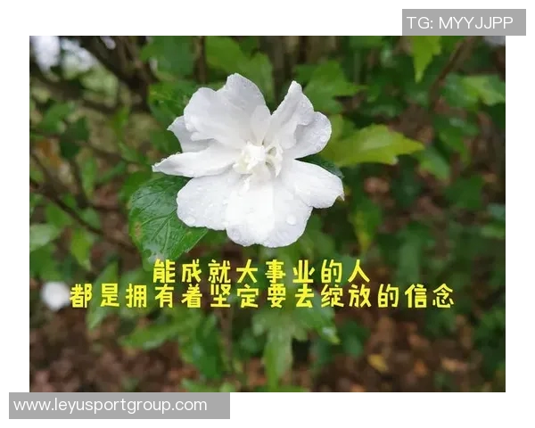 坚持信念不因短暂失误影响全局表现